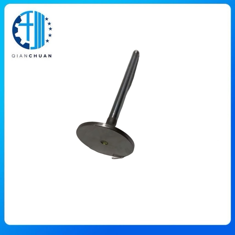 ISC/QSC 8.3L 8.9L Cummins Diesel Engine Intake Valve 3924492 3802463